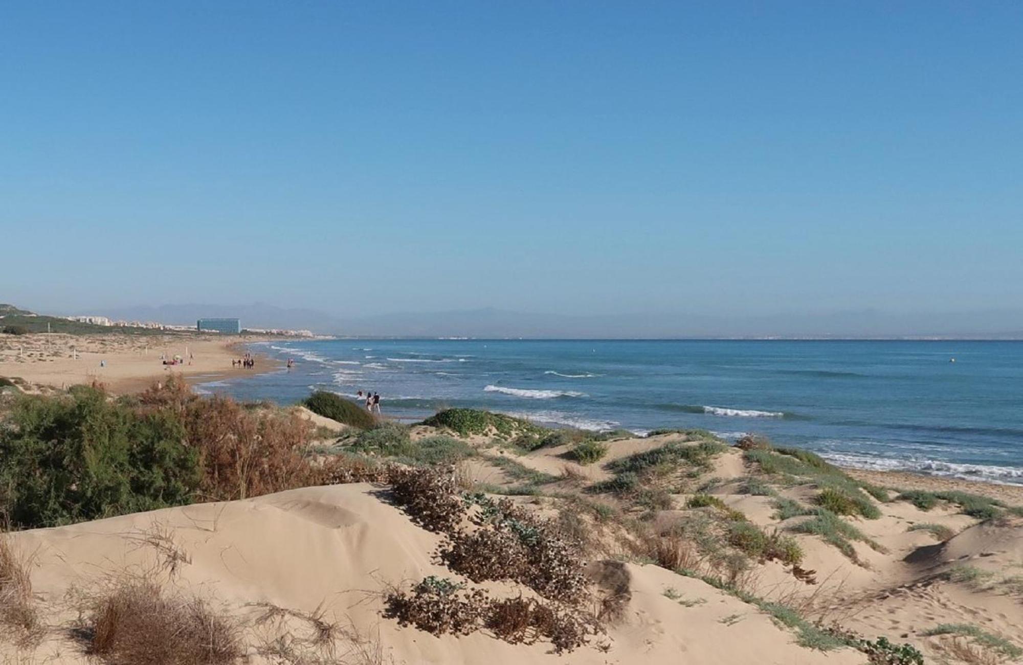 شقة Emilia De La Playa لا ماتا المظهر الخارجي الصورة